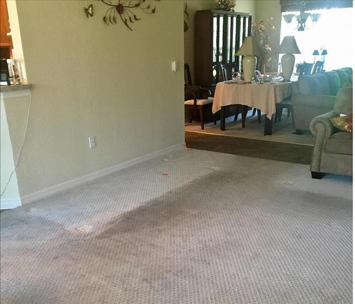 soiled carpet with clean area 